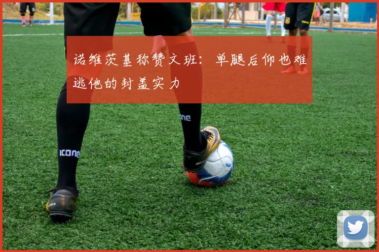 诺维茨基称赞文班：单腿后仰也难逃他的封盖实力