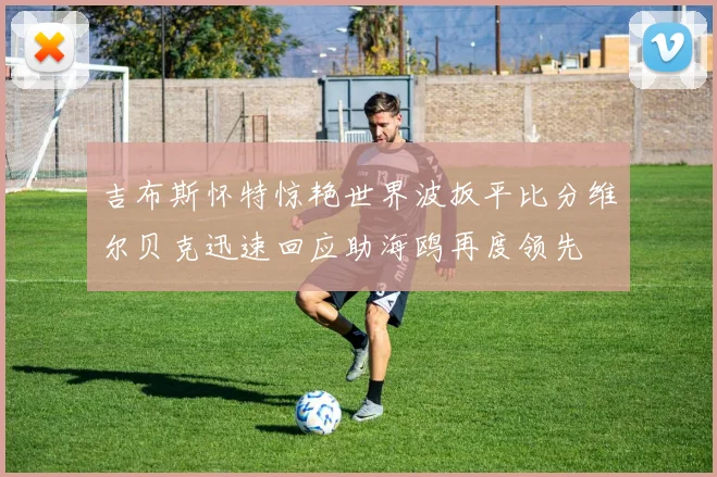 吉布斯怀特惊艳世界波扳平比分维尔贝克迅速回应助海鸥再度领先