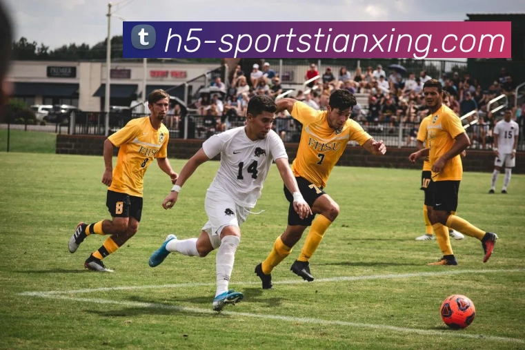 天行体育APP 封面图