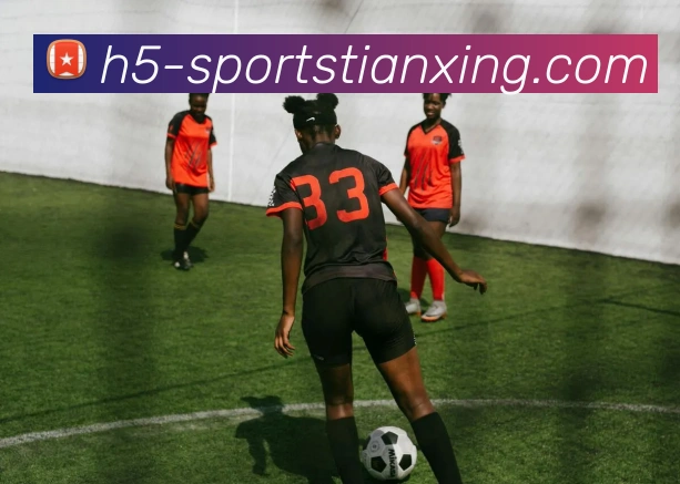 数据防护可视化